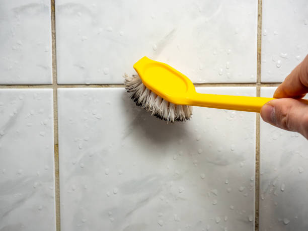 Best Mold Damage Repair  in Green Valley, CA