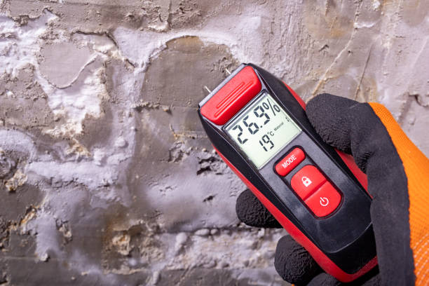 Best Mold Remediation Experts  in Green Valley, CA