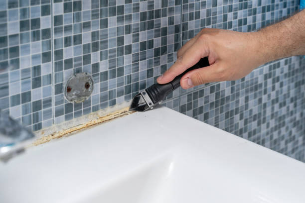 Best Fast Mold Removal  in Green Valley, CA