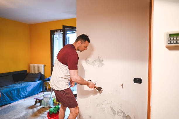 Mold Testing and Removal in Green Valley, CA