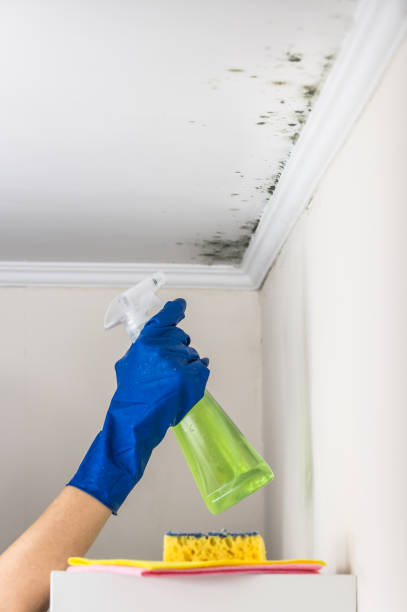 Best Mold Testing  in Green Valley, CA